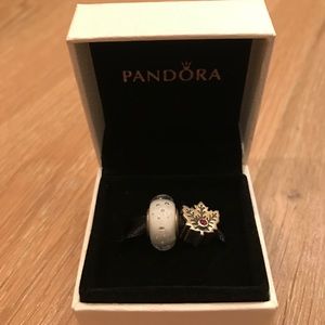 Pandora charms
